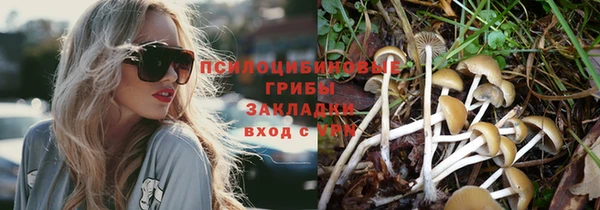 МДПВ Карталы