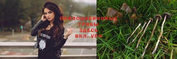 МДПВ Карталы