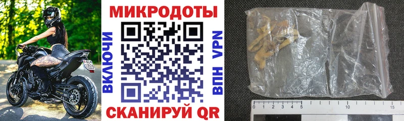 Купить где  Белозерск  Галлюциногенные грибы Cubensis 